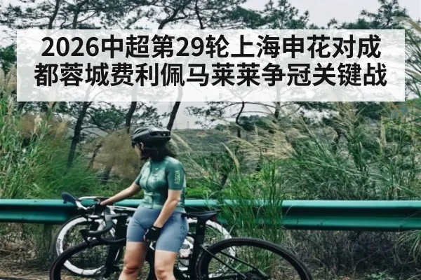 2026中超第29轮上海申花对成都蓉城费利佩马莱莱争冠关键战（kaiyun）